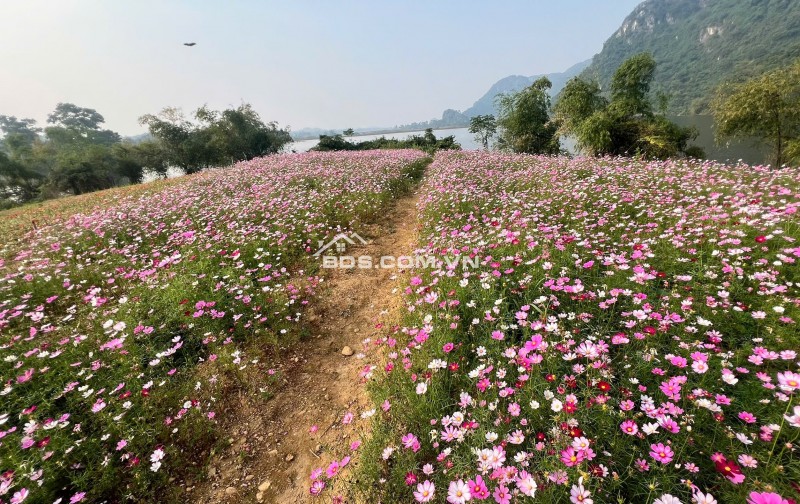 Utopia Hòa Bình – Khu nghỉ dưỡng sinh thái giữa thiên nhiên